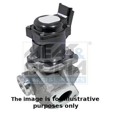 EGR Valve